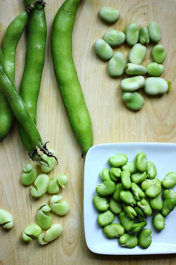Fresh fava beans