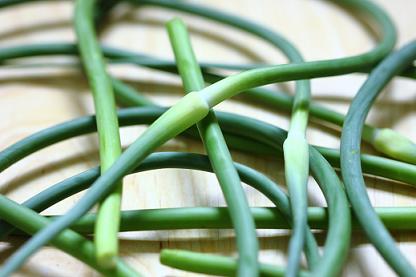 Garlic scapes are the leafless flower stalks that spring from the tops of garlic plants.