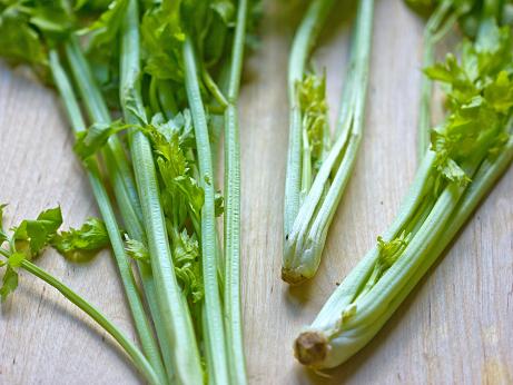 Chinese celery has longer and thinner stalks and a more pronounced “celery” flavor than its European relative, the common green celery.