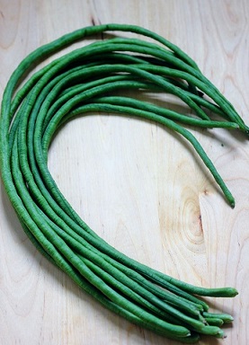 Yardlong beans, or jiang dou (豇豆) in Mandarin, have been cultivated in the warmer parts of Asian countries for centuries and are widely used in Asian cuisines.