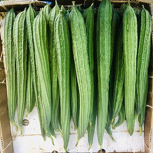 When picked young, loofah (or luffa) is a popular gourd used in Chinese and Asian cuisines. Beloved for its white and soft flesh, loofah is fantastic when stir-fried, steamed, or added to soups.