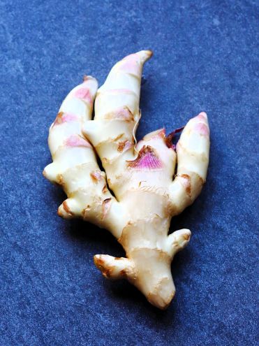 Also known as young ginger, baby ginger is harvested early—typically 4 to 6 months after planting. Compared with mature ginger, it has thin, translucent skin, pale juicy flesh with little fiber, and a milder, slightly citrusy flavor.